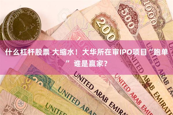 什么杠杆股票 大缩水！大华所在审IPO项目“跑单” 谁是赢家？