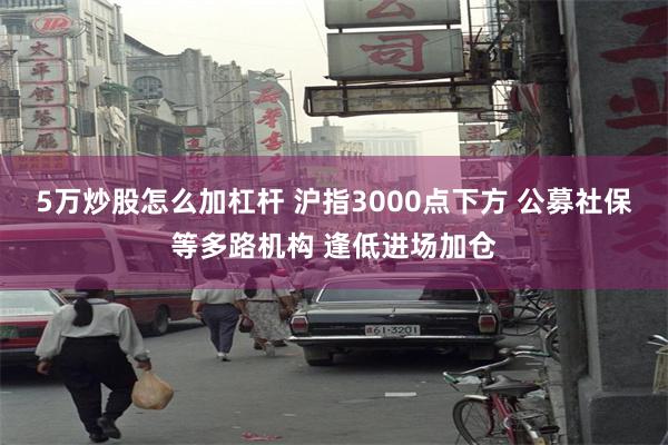 5万炒股怎么加杠杆 沪指3000点下方 公募社保等多路机构 逢低进场加仓