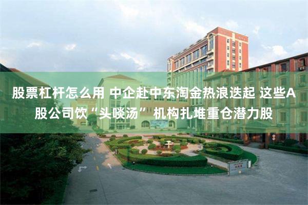 股票杠杆怎么用 中企赴中东淘金热浪迭起 这些A股公司饮“头啖汤” 机构扎堆重仓潜力股