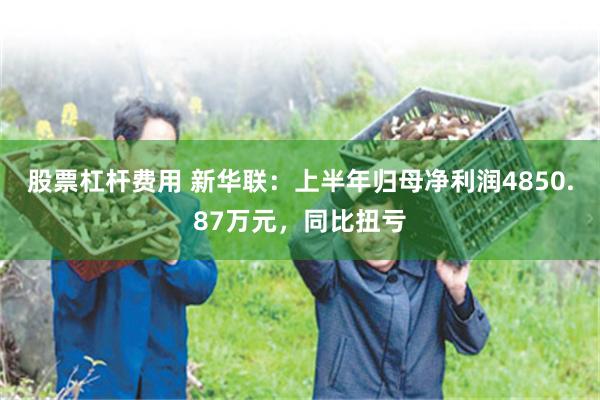 股票杠杆费用 新华联：上半年归母净利润4850.87万元，同比扭亏