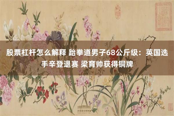 股票杠杆怎么解释 跆拳道男子68公斤级：英国选手辛登退赛 梁育帅获得铜牌