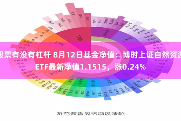 股票有没有杠杆 8月12日基金净值：博时上证自然资源ETF最新净值1.1515，涨0.24%