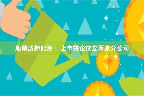 股票质押配资 一上市皖企成立两家分公司