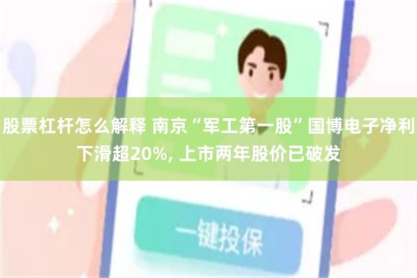 股票杠杆怎么解释 南京“军工第一股”国博电子净利下滑超20%, 上市两年股价已破发