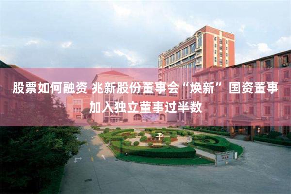 股票如何融资 兆新股份董事会“焕新” 国资董事加入独立董事过半数