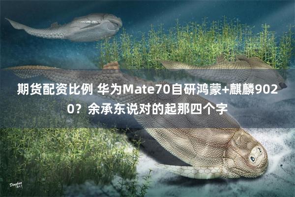 期货配资比例 华为Mate70自研鸿蒙+麒麟9020？余承东说对的起那四个字