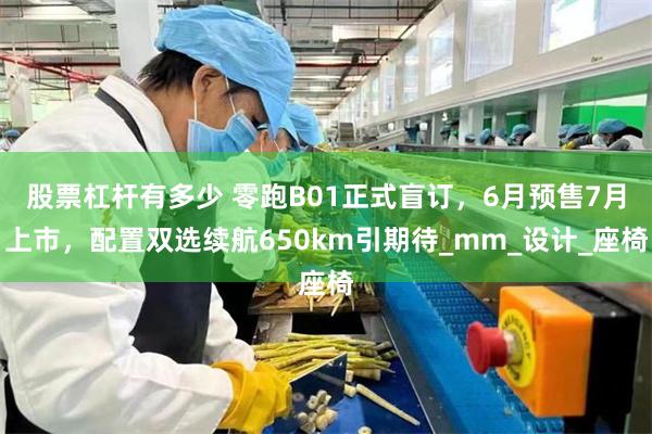 股票杠杆有多少 零跑B01正式盲订，6月预售7月上市，配置双