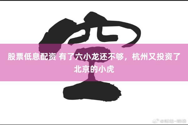股票低息配资 有了六小龙还不够，杭州又投资了北京的小虎