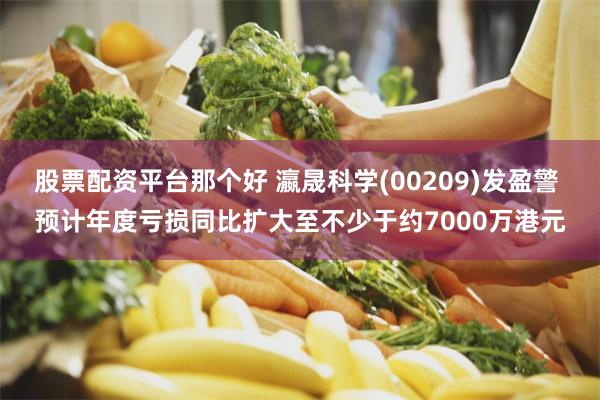 股票配资平台那个好 瀛晟科学(00209)发盈警 预计年度亏