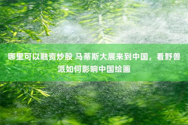 哪里可以融资炒股 马蒂斯大展来到中国，看野兽派如何影响中国绘