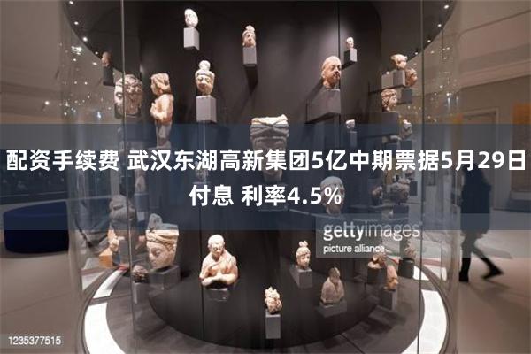 配资手续费 武汉东湖高新集团5亿中期票据5月29日付息 利率