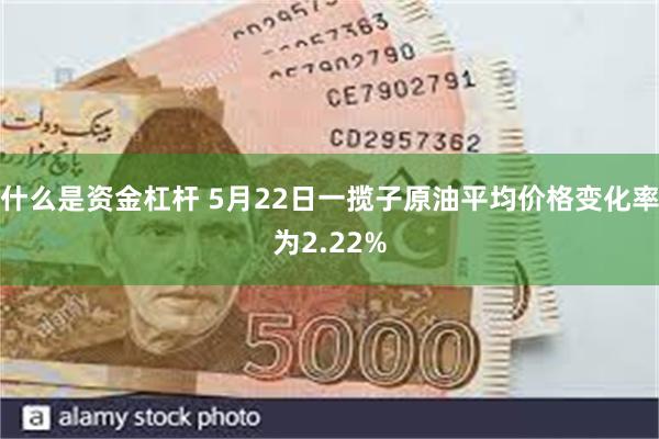 什么是资金杠杆 5月22日一揽子原油平均价格变化率为2.22