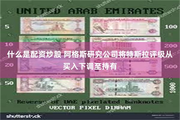 什么是配资炒股 阿格斯研究公司将特斯拉评级从买入下调至持有