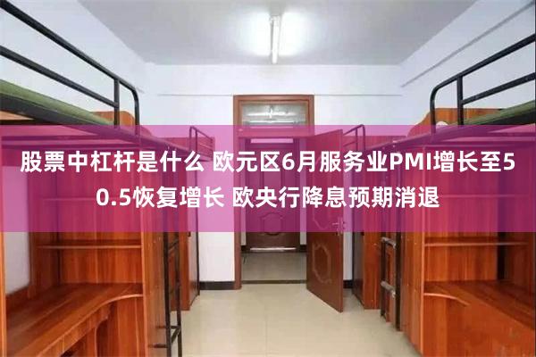 股票中杠杆是什么 欧元区6月服务业PMI增长至50.5恢复增